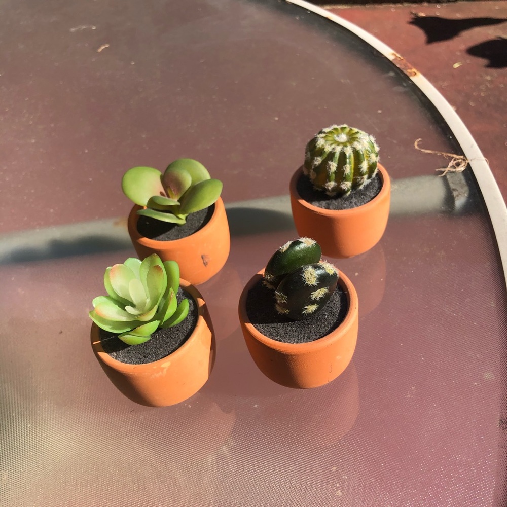 Artificial succulent